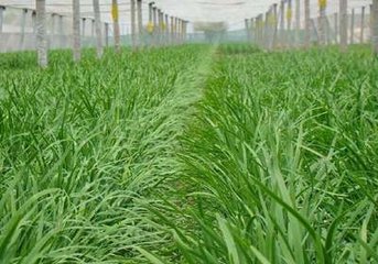 �²��S�~��ȴ�ʩ