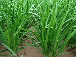 �~��ʺ��r(n��ng)ˎ������ע��ʲô��