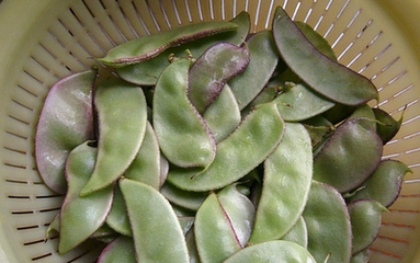 �ⶹʩ�ʼ��g(sh��)