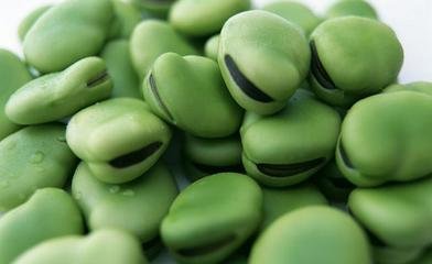 �Q��ȱ�ԭ����ʲô��