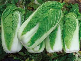 �ײ�Ҫ�߮a���ƌWʩ�ʺ��P�I