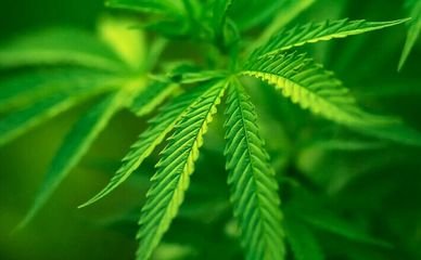 �����m�ǌ�����ҲҪ����(j��)���غ���ʩ��