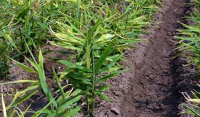 �V�����ʲô���ã��V��ʵĹ������c(di��n)