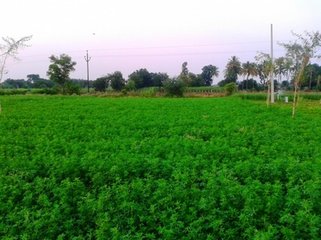 �]�l���y��?Ŀ�y�Д����