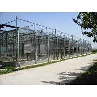 ��ľ�Ҵ����߲˷Nֲ��(y��u)�c(di��n)