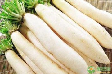 �}�������ʩ�ʷ���