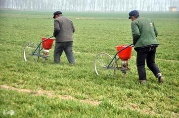 �\Մ�����������