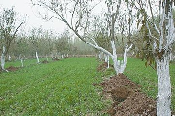 Ѩ�A��ˮ����