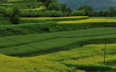 �����������ʵ�����̎