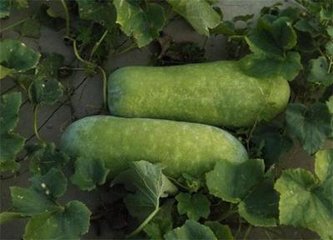 �����@��ʩ�����߮a