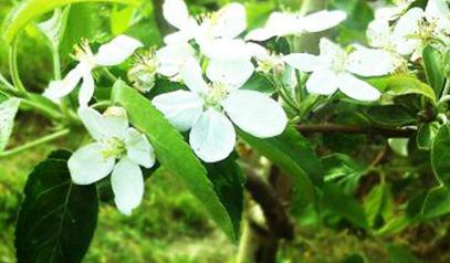 �@�������ص����_ʹ�÷��������ص��ķN����;