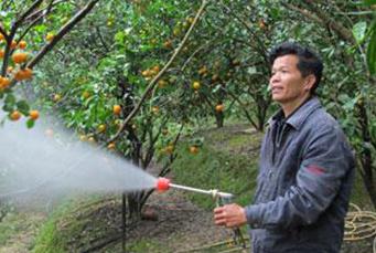 ����ȱ�F��ôʩ���������a�F׷�ʷ���