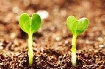 ֲ�����L�{���������f�ܵģ�Ī�^����ه�{����