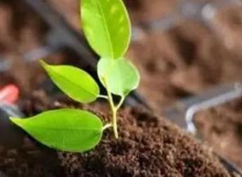 ʲô�Ƿ����������P�ڷ����������˽���٣�