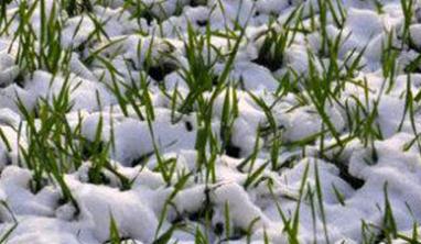 С��Խ��������ô�k����η���С��Խ������