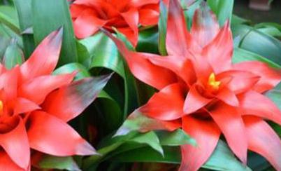 �^�p�P�����ʩ�ʣ��^�p�P��ʩ�ʼ��ɼ�ע�����