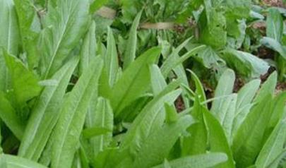 ���ӷN�������ˣ�������ʩ�ʼ��g(sh��)���P(gu��n)�I