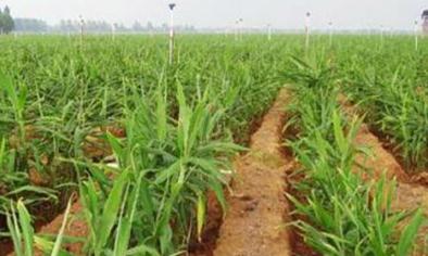 ����������ˣ��������ƽ��ʩ�ʣ�