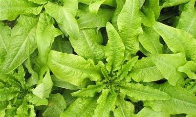 �n����ôʩ��