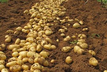 �@Щ������ô�x����ô�N���ܸ߮a���r�I�r�岿�����Nֲ����������