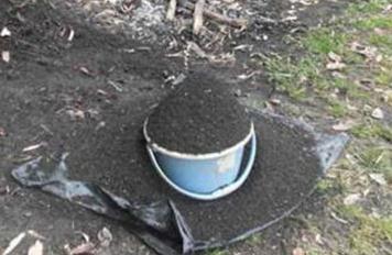 ��ľ�ҵ�������ʲô����ľ�Ҍ����@��ʲô��̎��