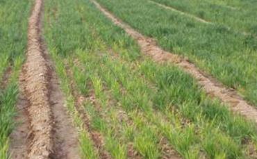 С������ʩ��ע����헣�����С���Ϸ�؝��ķ���