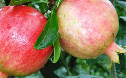 ��ʯ����ô���ࣿ����ʯ��ļ��g(sh��)Ҫ�c(di��n)