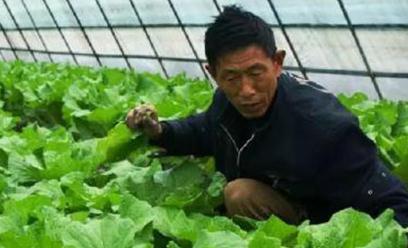 ������ʩ����Щ��(y��u)�c(di��n)��������ʩ�Ĵ�(y��u)�c(di��n)