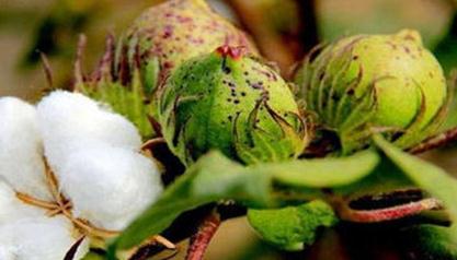 �޻��к�ʩ�����c(di��n)���޻���������Ժ�ʩ�ʼ��g(sh��)