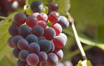 ����ȫ��Ĺ���Ҫ�c(di��n)�������������g(sh��)Ҫ֪����