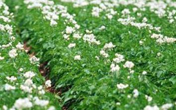 �R�����ôʩ�ʣ��R�����ʩ��ԭ�t