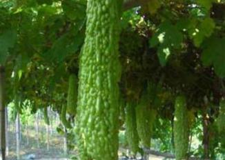 ���ʩ���кμ��ɣ���ϵ����_ʩ�ʷ���