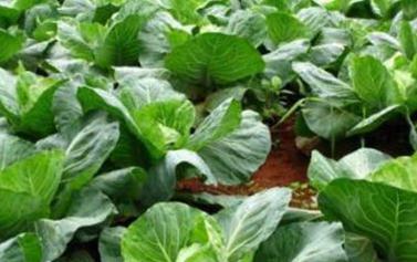 ��ô��(du��)�߲��a(b��)�}���߲��a(b��)�}����Щ���ɣ�