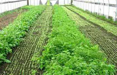 �Gɫ�߲������yʩ�ʣ��Gɫ�߲�ʩ�ʷ���