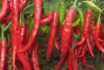 ������˥��ô�k����η��ι�����˥