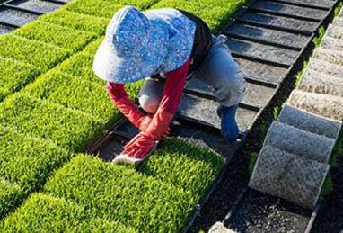 �ЙC(j��)����κ����\(y��n)�ã��ЙC(j��)��ʩ��ע�����(xi��ng)