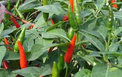 �����߮a����ˮ�������߮aʩ�ʼ��g