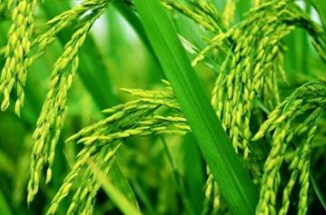 ˮ����ô����Ч���ã��N�������ļ��g(sh��)Ҫ�c(di��n)