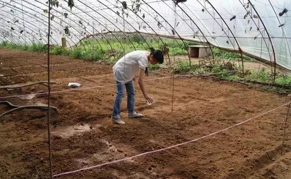 ���������������@Щ���W���������ٲ������g�s����