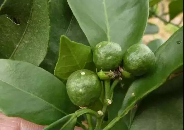 ���ʹ��ʮ���`�^Ҫע�⣬���_��ʹ�÷������@�