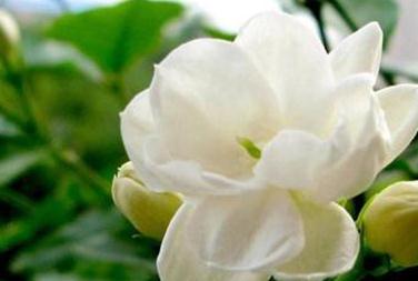 ����С֪�R���\��ˮ���λ��~�l(f��)�S