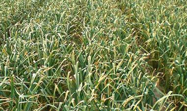 ��ô��������a���ߣ�����������ļ��gҪ�c