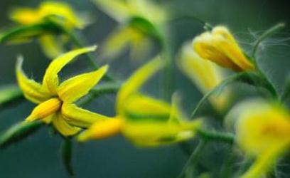 �������_���Y�����a���ٸ߮a