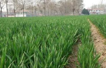 С��Խ�������(y��n)�أ���ξ���С��Խ�����磿