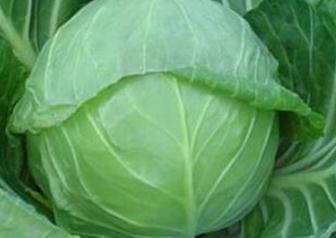 �Y����{���ʩ�ʣ��������������Щ��