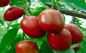 �������~�����ӹ������������~���������