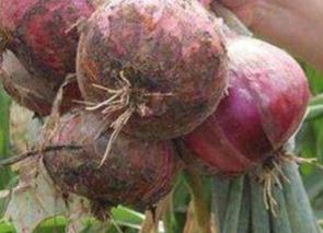 �������[ʩ�ʱ����a�����[��������