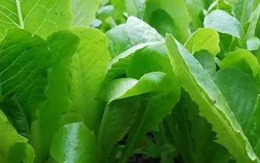 ������κ���ʩ�ʣ��������������������ʩ�ʷ���