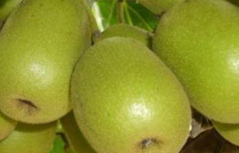 �J���ҵ�������c��ʲô���J�������L�����ʩ�ʣ�