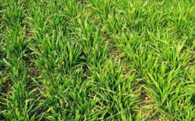 ʩ��С֪�R(sh��)�����l��Ӱ�ʩ�ʵķ�Ч����